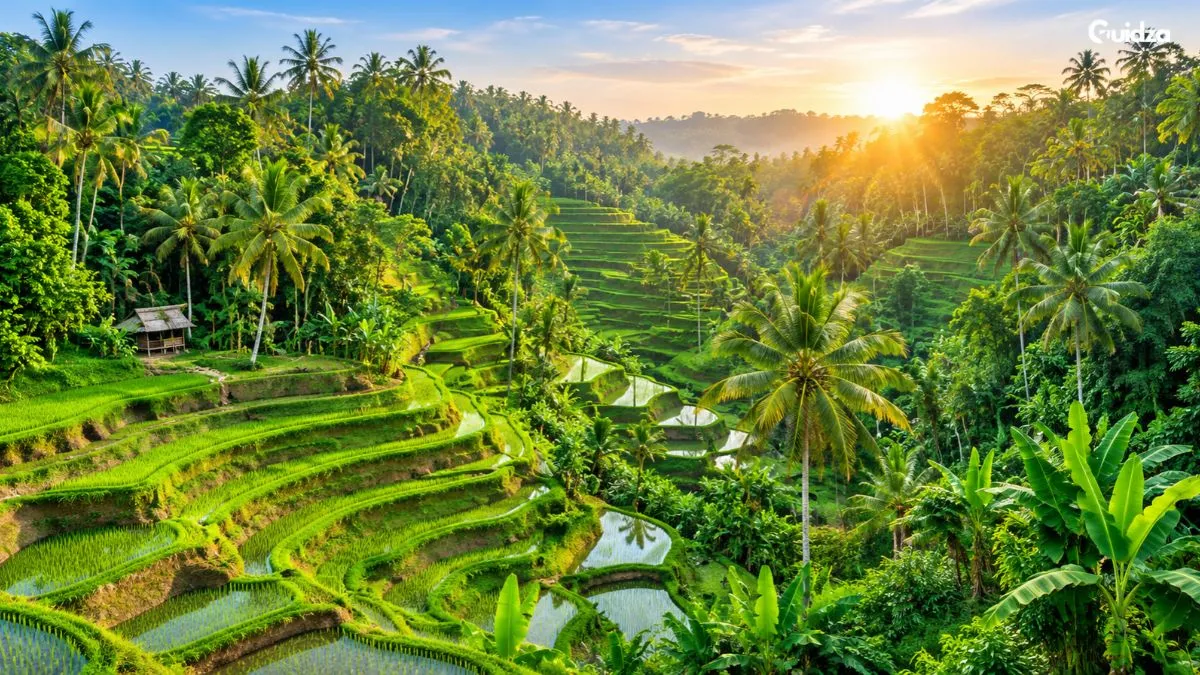 ubud